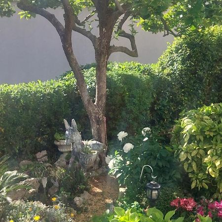 Pahljina Apartments Palit المظهر الخارجي الصورة