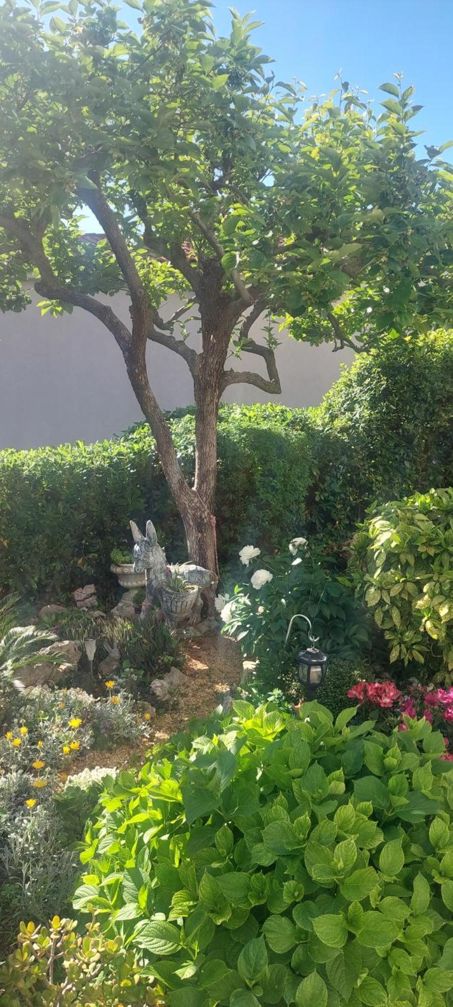 Pahljina Apartments Palit المظهر الخارجي الصورة